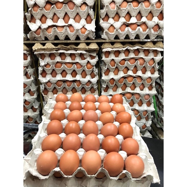 Telur Ayam Ras 1 Kg